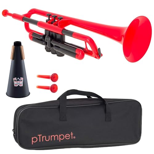 Amazon | pInstruments ピーインストゥルメンツ プラスチック製管楽器